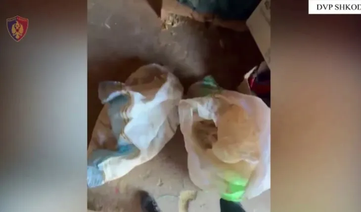 Çmontohet grupi i drogës në Malësinë e Madhe, 4 persona bien në pranga, 3 të tjerë në kërkim! Sekuestrohen 265 kg kanabis dhe…