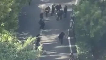 Dalin pamjet/ “Depoja e molotovëve: Selia e PD”