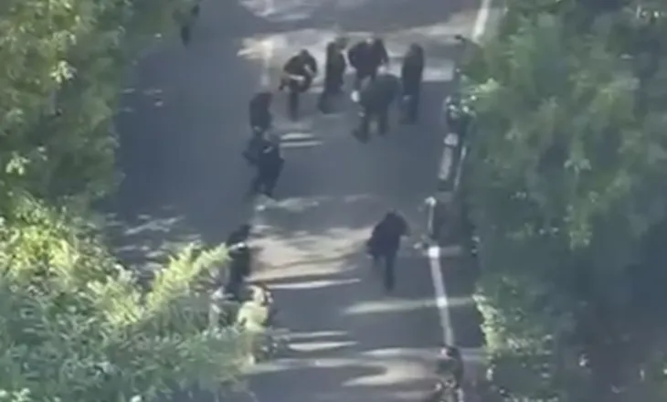 Dalin pamjet/ “Depoja e molotovëve: Selia e PD”