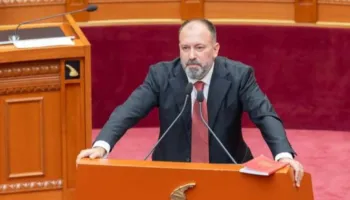 Debati për Territoriale-n përplas dy socialistët/ Mazniku përmend Divjakën, Braçe reagon nga vendi