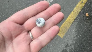 Deputetja publikon fotot: Policia po godet protestuesit me zara hekuri