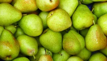 E konsumoni shpesh këtë frut? Ja çfarë zbulon studimi për zemrën, zorrët dhe diabetin
