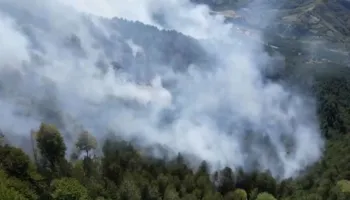 ELBASAN/ Zjarri në malin e Bukanikut vijon të jetë aktiv