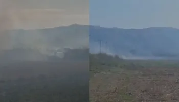 Flakët përfshijnë Armenin në Selenicë, era e fortë përhap zjarrin në sipërfaqe të mëdha (VIDEO)