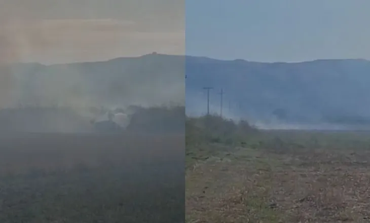 Flakët përfshijnë Armenin në Selenicë, era e fortë përhap zjarrin në sipërfaqe të mëdha (VIDEO)