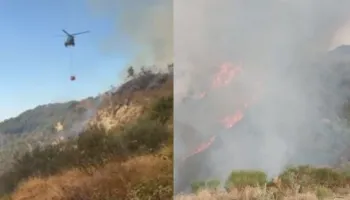 Flakët përfshijnë disa zona: 2 banesa të djegura dhe sipërfaqe me ullinj dhe bimësi! Ndërhyrje nga ajri (VIDEO)