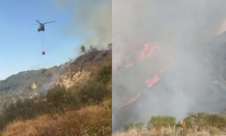 Flakët përfshijnë disa zona: 2 banesa të djegura dhe sipërfaqe me ullinj dhe bimësi! Ndërhyrje nga ajri (VIDEO)