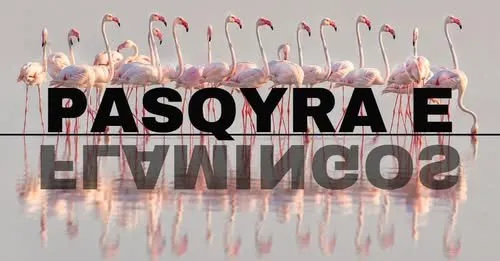 Flamingo Mirror platforma e re për dokumentet dhe dosjet me interes publik