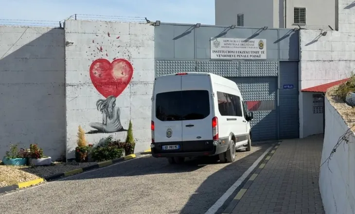 Foshnja 4-muajshe qëndron në burg me nënën, Avokati i Popullit verifikon kushtet