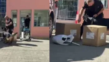 Garda kontrollon me qen anti-eksploziv pajisjet që do të hyjnë në GJKKO