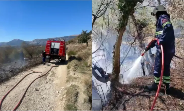 Gjirokastër, neutralizohet vatra e zjarrit në Karjan