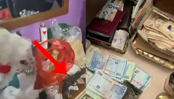 Goditen “Exchange” pa licencë në Fier, 14 persona nën hetim! Euro e dollarë u gjetën në banesa (EMRAT-VIDEO)