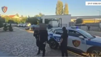 Goditet grupi kriminal i drogës në Shkodër/ Sekuestrohen 265 kg kanabis, 4 të arrestuar dhe 3 në kërkim