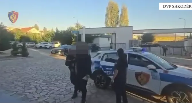 Goditet grupi kriminal i drogës në Shkodër/ Sekuestrohen 265 kg kanabis, 4 të arrestuar dhe 3 në kërkim
