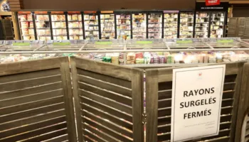 Hakerat ngrohin frigoriferët e supermarketeve në Francë, miliona euro dëme