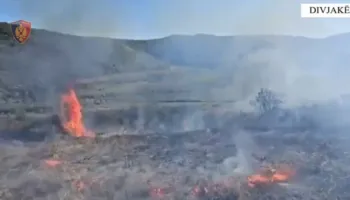 I vuri zjarrin tokës në Divjakë, kapet pranë vatrës së flakëve 29-vjeçari i dyshuar