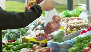Inflacioni ngadalësohet, por çmimet vijojnë rritjen, transporti shtrenjtohet me 12.4%