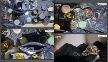 Kakavijë/ Kapet me pistoletë dhe 141 gramë kanabis, arrestohet 51-vjeçarja gjermane