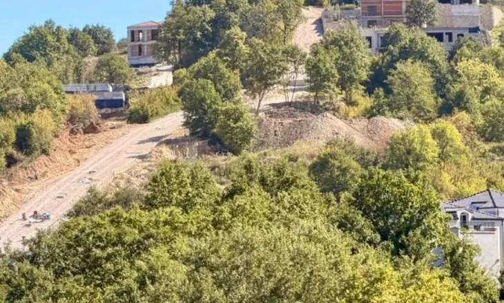 Këlliçi publikon vilat e Skënder Hitës: Kur policët rropaten me turne 12-orëshe, drejtori shton katet e vilave