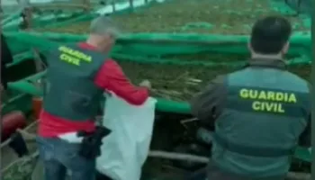 Kishin ngritur një mega-plantacion droge, arrestohen katër shqiptarë në Spanjë