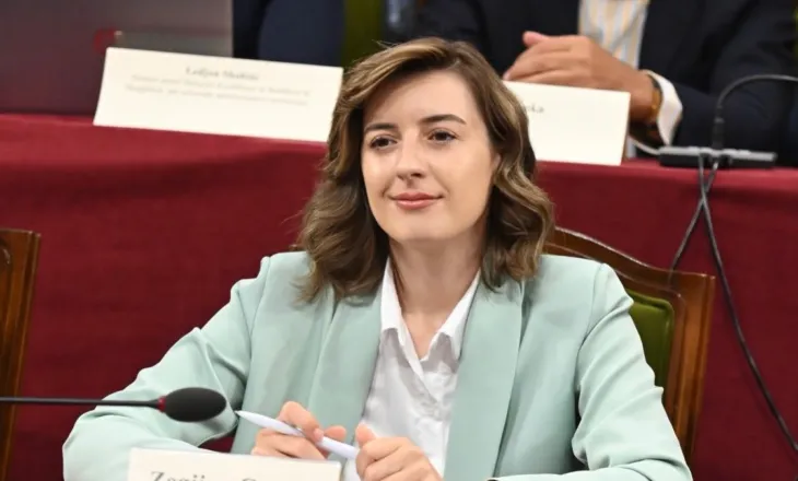 Komentuesi i shkruan: 240 mijë euro shpi me 1 vit deputete! Zegjine Çaushi tregon si qëndron e vërteta