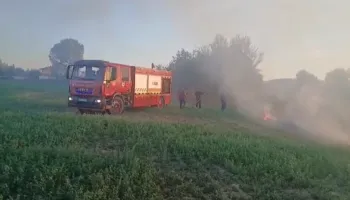 Krujë/ I vunë zjarrin kanalit me shkurre e kallamishte, flakët u afrohen banesave