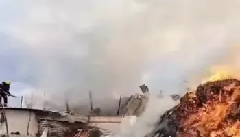 Krujë/ Zjarr në një kasolle ushqimore për kafshë, digjen edhe disa bagëti, dëme të shumta (VIDEO)
