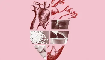 Ksilitoli, ëmbëlsuesi ‘i shëndetshëm’ që lidhet me rritjen e rrezikut për infarkt dhe goditje në tru