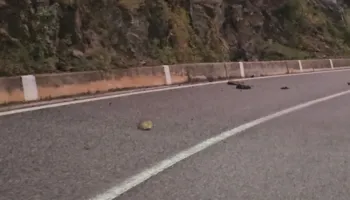 Kthesa e motit/ Reshjet e shiut krijojnë probleme në Qarkun Kukës, rënie gurësh në disa akse