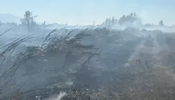 Lezhë/ Flakët përhapen në Rrilë, zjarri përfshin sipërfaqe të gjera bujqësore