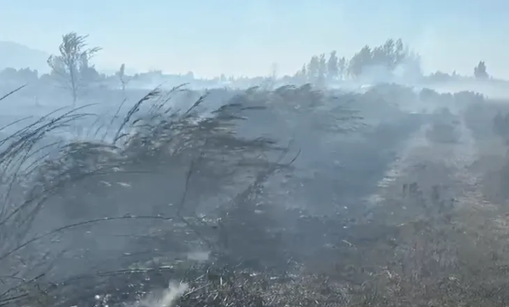 Lezhë/ Flakët përhapen në Rrilë, zjarri përfshin sipërfaqe të gjera bujqësore
