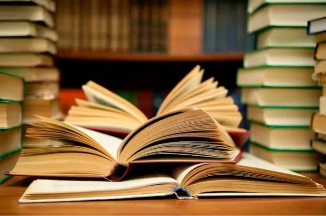 Libraritë përmirësojnë mirëqenien emocionale, ja librat që rekomandohen për ditët e ftohta