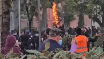 “Luftë” para Kryeministrisë, protestuesit i vënë flakën një peme, policia hedh ujë me ngjyrë (VIDEO)
