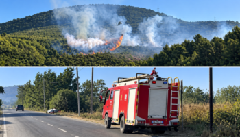 Manatia e Lezhës në flakë, zjarrfikësit në mbrojtje të banesave! Ndërhyrje nga ajri me helikopter