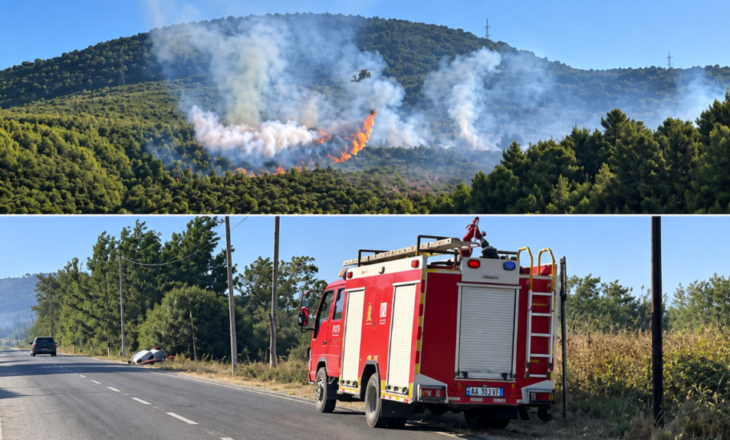 Manatia e Lezhës në flakë, zjarrfikësit në mbrojtje të banesave! Ndërhyrje nga ajri me helikopter