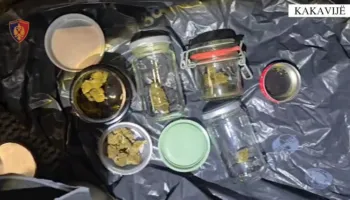 Me armë dhe kanabis në rulotën në Kakavijë, arrestohet 51-vjeçarja gjermane