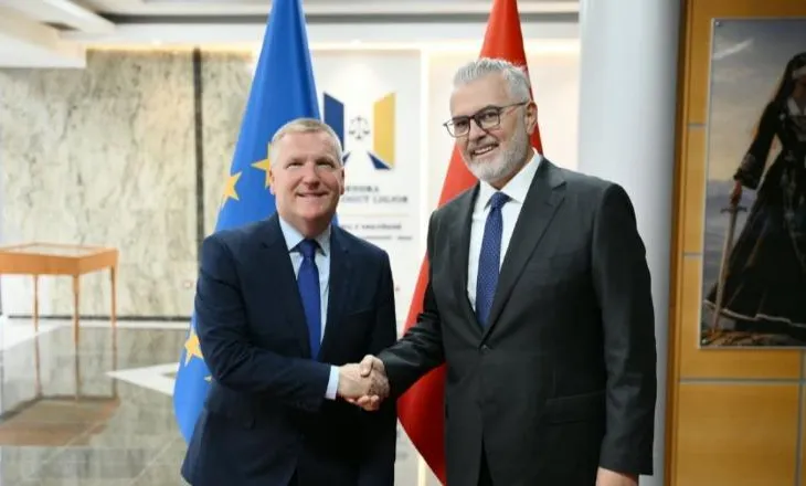 Ministri Gogu takon komisionerin europian McGrath: Reforma në drejtësi dhe integrimi në BE në fokus