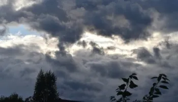 Moti sot, reshje shiu dhe shtrëngata në disa qarqe