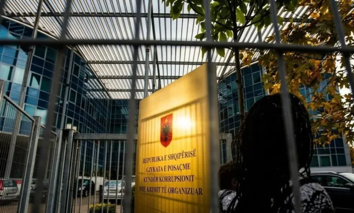Nënë e dy fëmijëve të mitur/ Pas Greta Gjocit, GJKKO pezullon për 6 muaj dënimin e Antoneta Malos
