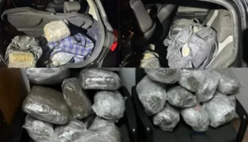 Operacion antidrogë në Janinë, 3 shqiptarët kapen duke trafikuar 36 kg marijuanë!