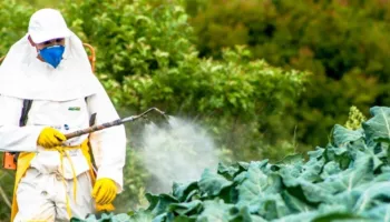 Pa kontroll dhe të ndaluara nga BE, pesticidet kineze e indiane “pushtojnë” tregun në Shqipëri