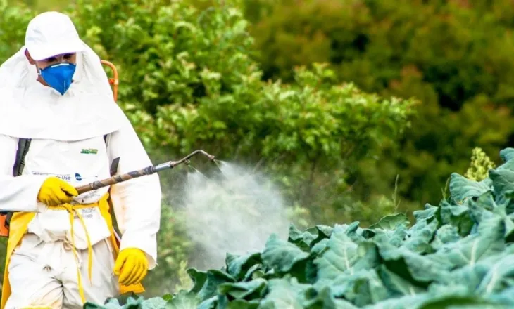 Pa kontroll dhe të ndaluara nga BE, pesticidet kineze e indiane “pushtojnë” tregun në Shqipëri