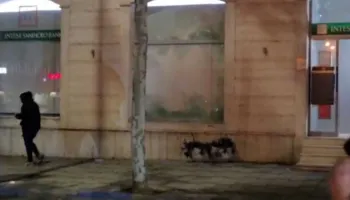 Protestuesit marshojnë drejt rrugës së Kavajës, thyejnë xhamat e një banke