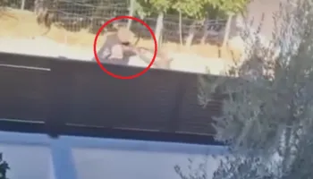 Publikohen pamje të reja nga vrasja e dy vëllezërve Islamaj në Bathore, momentet para të shtënave