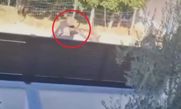 Publikohen pamje të reja nga vrasja e dy vëllezërve Islamaj në Bathore, momentet para të shtënave