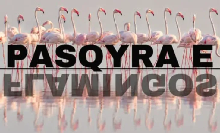 Rama për “Flamingo Mirror”: 127 mijë kërkime në orët e para dhe 122 sulme kibernetike