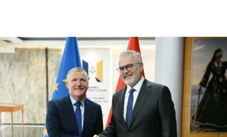 Reforma në Drejtësi dhe integrimi i Shqipërisë në BE, ministri Gogu takohet me Komisionerin Europian McGrath!