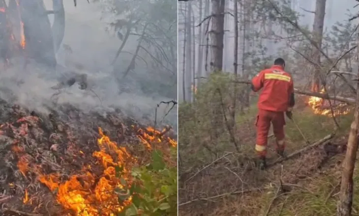 Riaktivizohet vatra e zjarrit në malet e Gjinarit në Elbasan