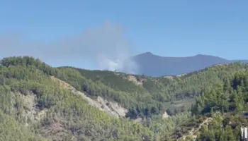 Riaktivizohet zjarri në malet e Gjinarit në Elbasan! Zjarrfikësit në luftë me flakët, ndërhyrje edhe nga ajri