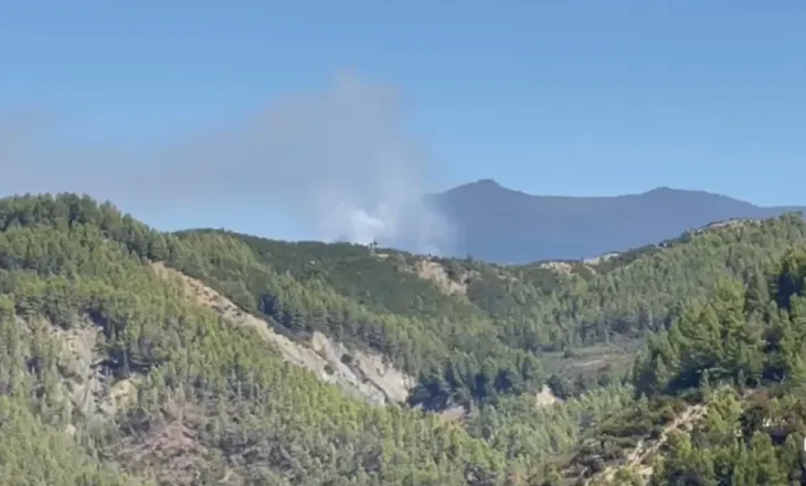 Riaktivizohet zjarri në malet e Gjinarit në Elbasan! Zjarrfikësit në luftë me flakët, ndërhyrje edhe nga ajri